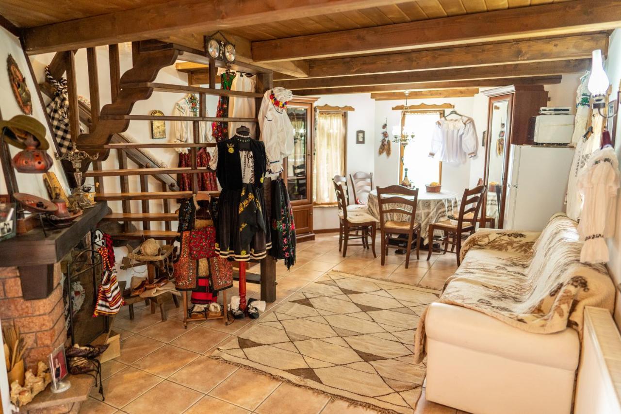 Cabana Rustic Borşa Exteriör bild