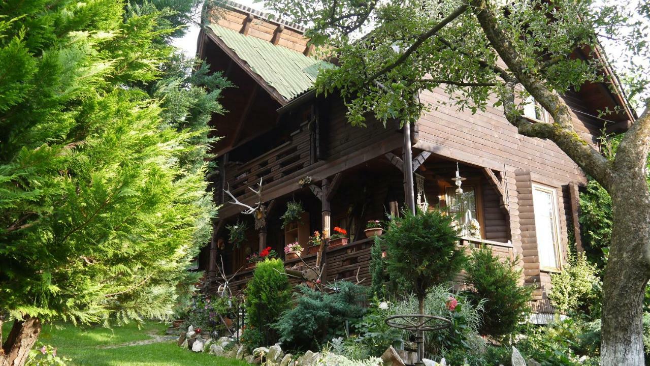 Cabana Rustic Borşa Exteriör bild